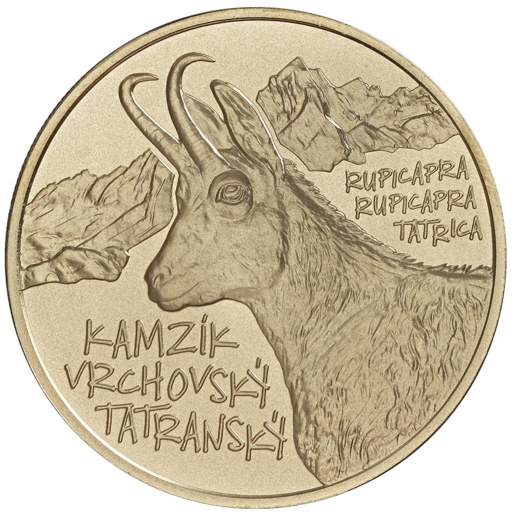 5 EURO 2022 BK Kamzík